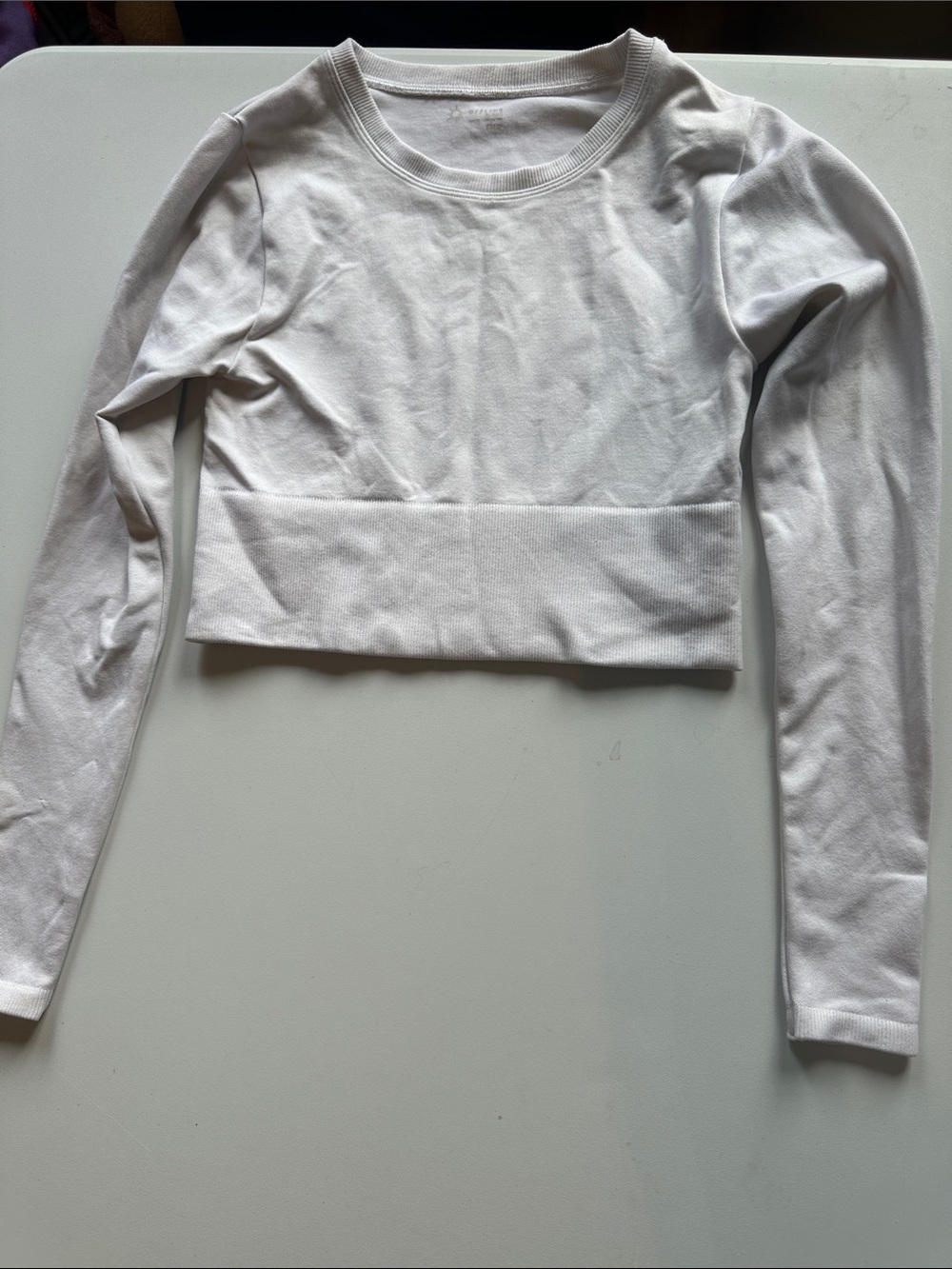 Aerie White Long-Sleeve Cropped Crew Top
